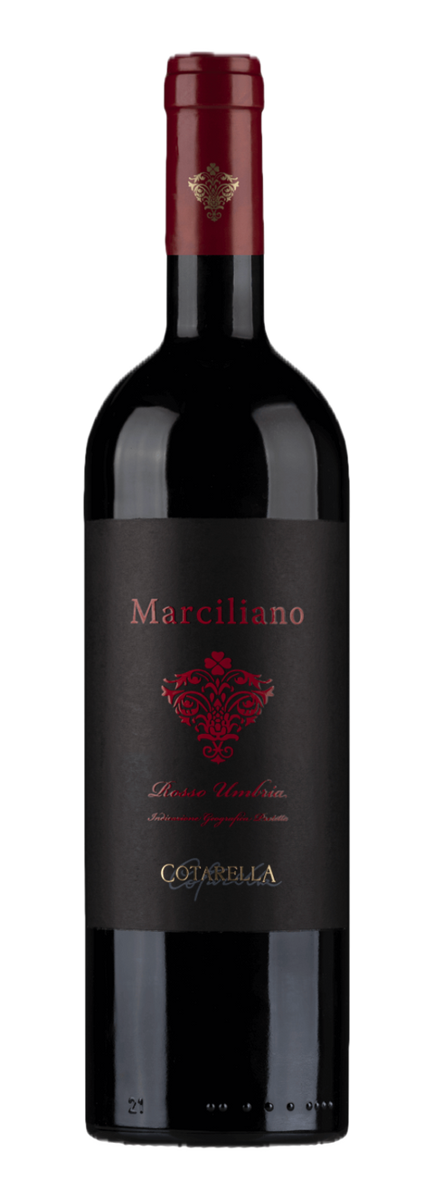 Falesco  Marciliano 2011